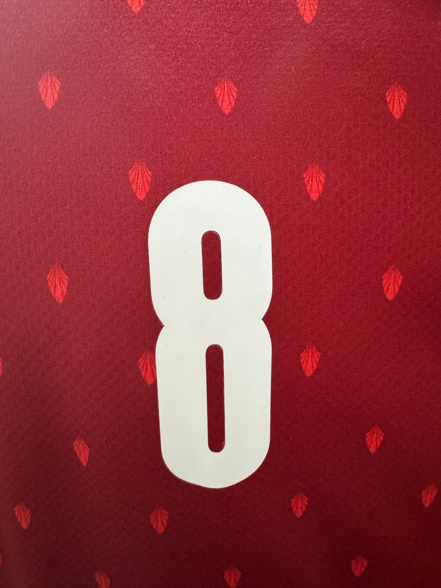 Austria 2020 Alaba #8 Home - M