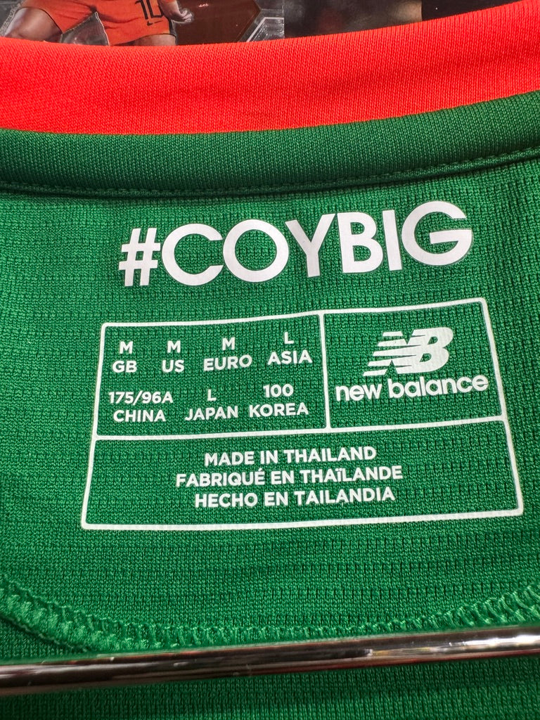 Ireland 2017/18 Home Shirt | Retro Screamers