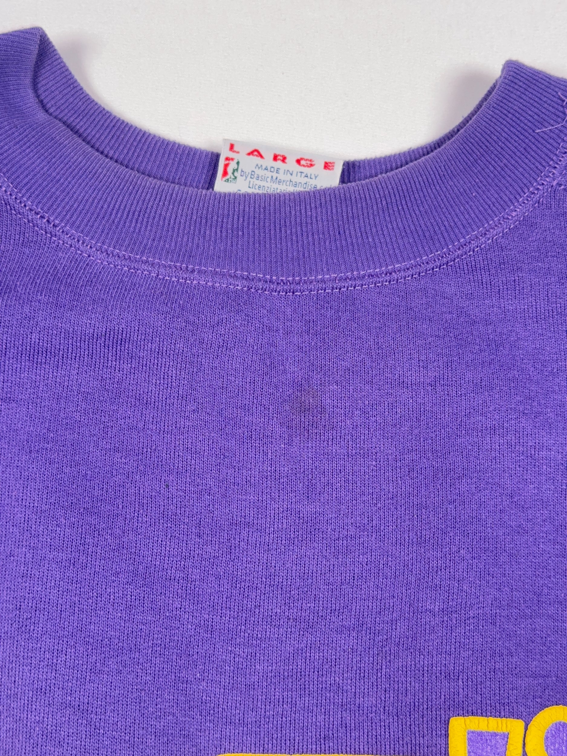 Fiorentina 1990/91 Le Felpe dei Grandi Club Sweatshirt - L