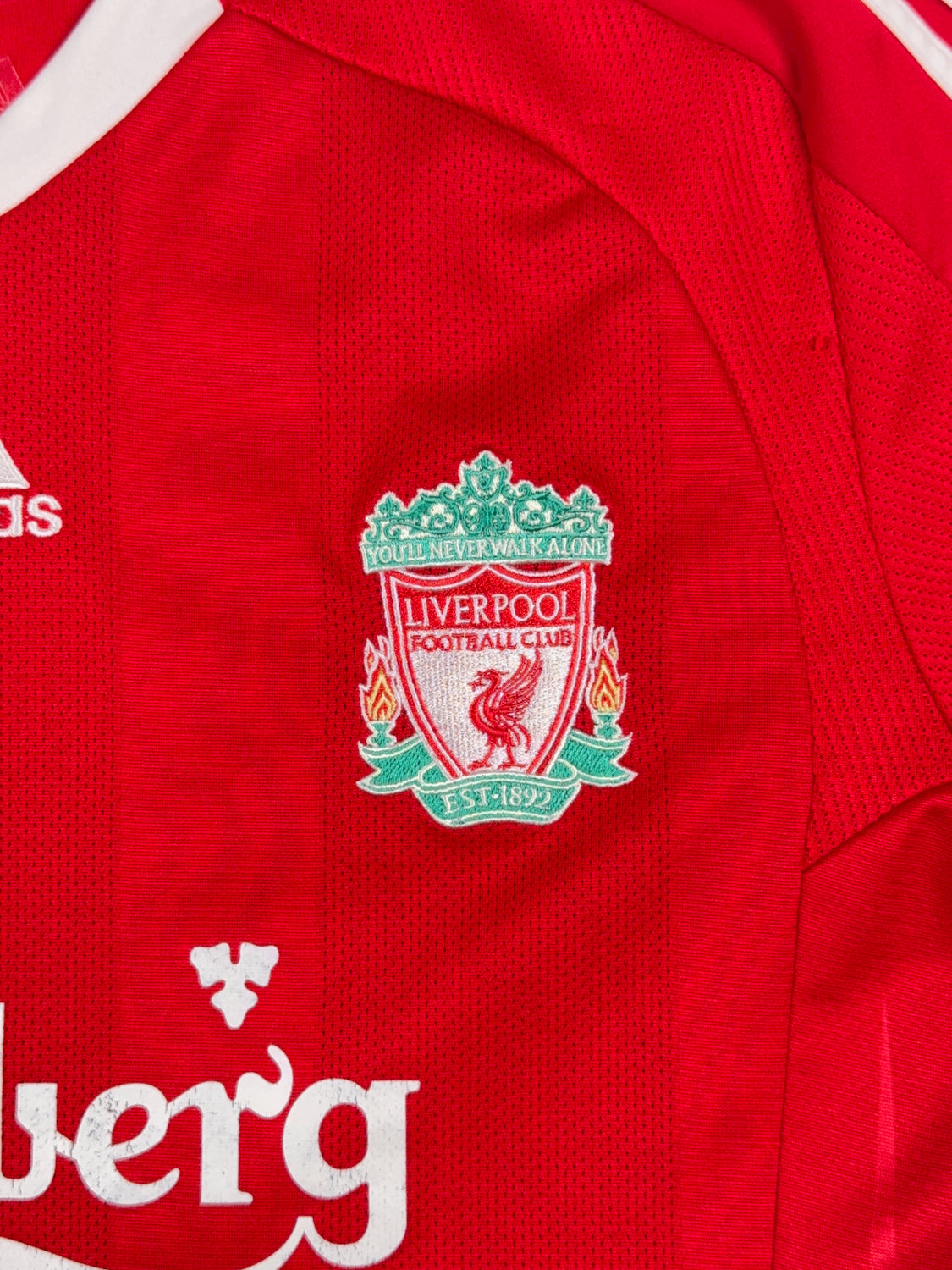 Liverpool 2008/10 Fernando Torres #9 Home Shirt - L