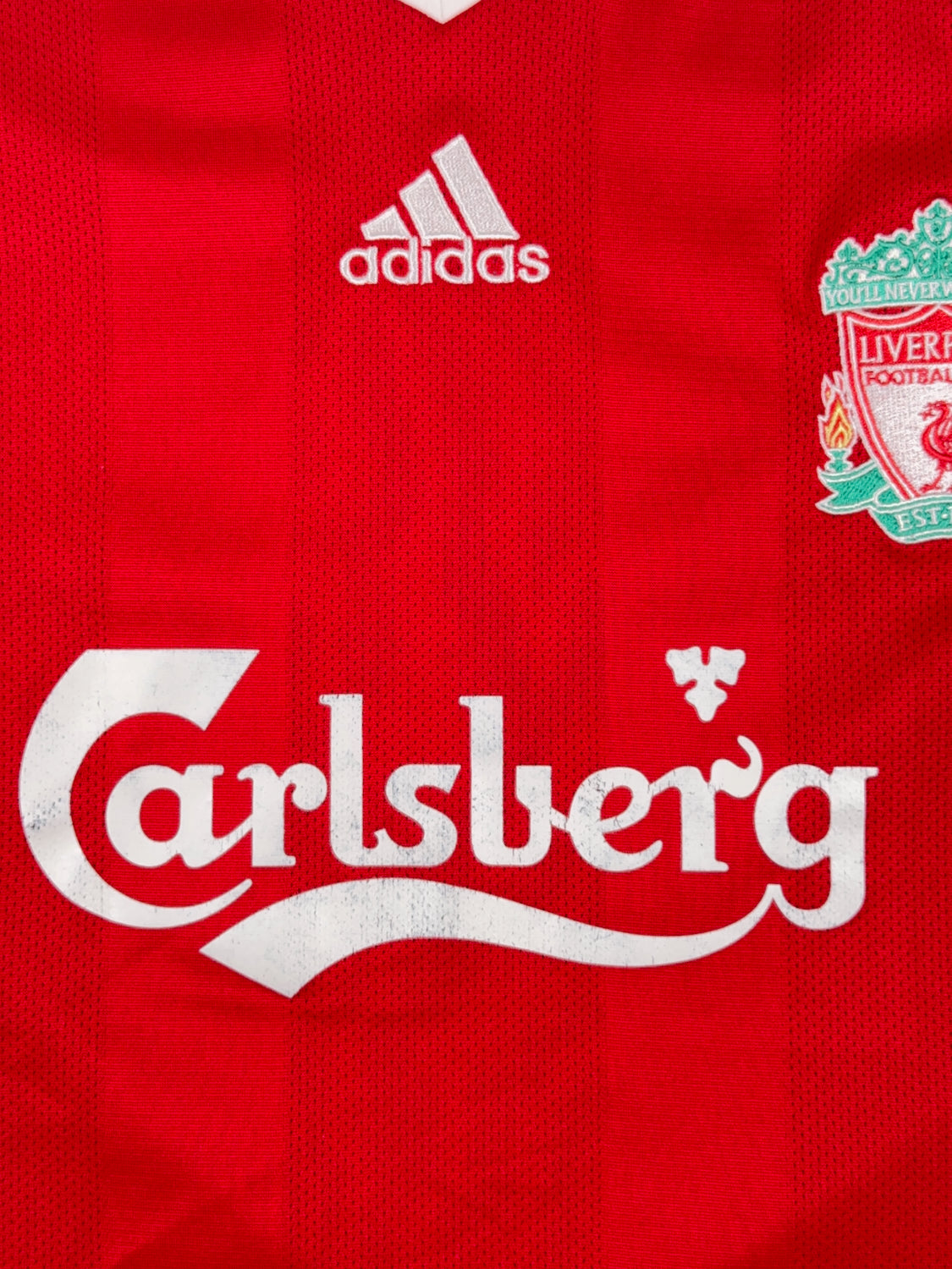 Liverpool 2008/10 Fernando Torres #9 Home Shirt - L