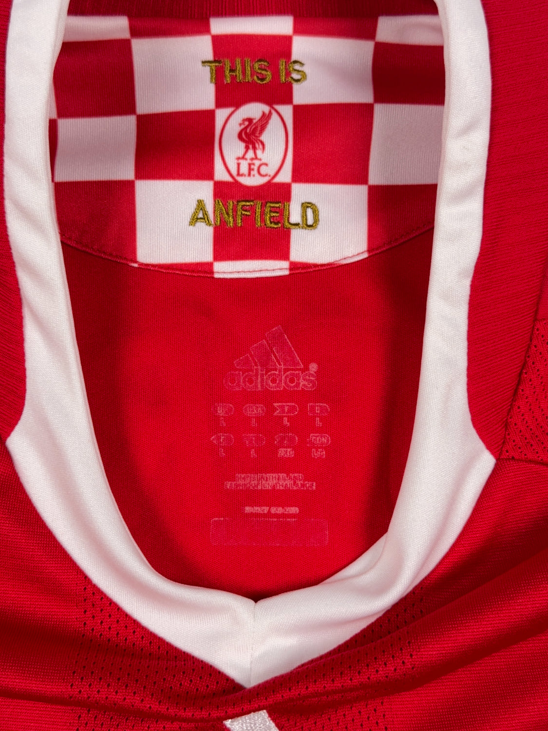 Liverpool 2008/10 Fernando Torres #9 Home Shirt - L