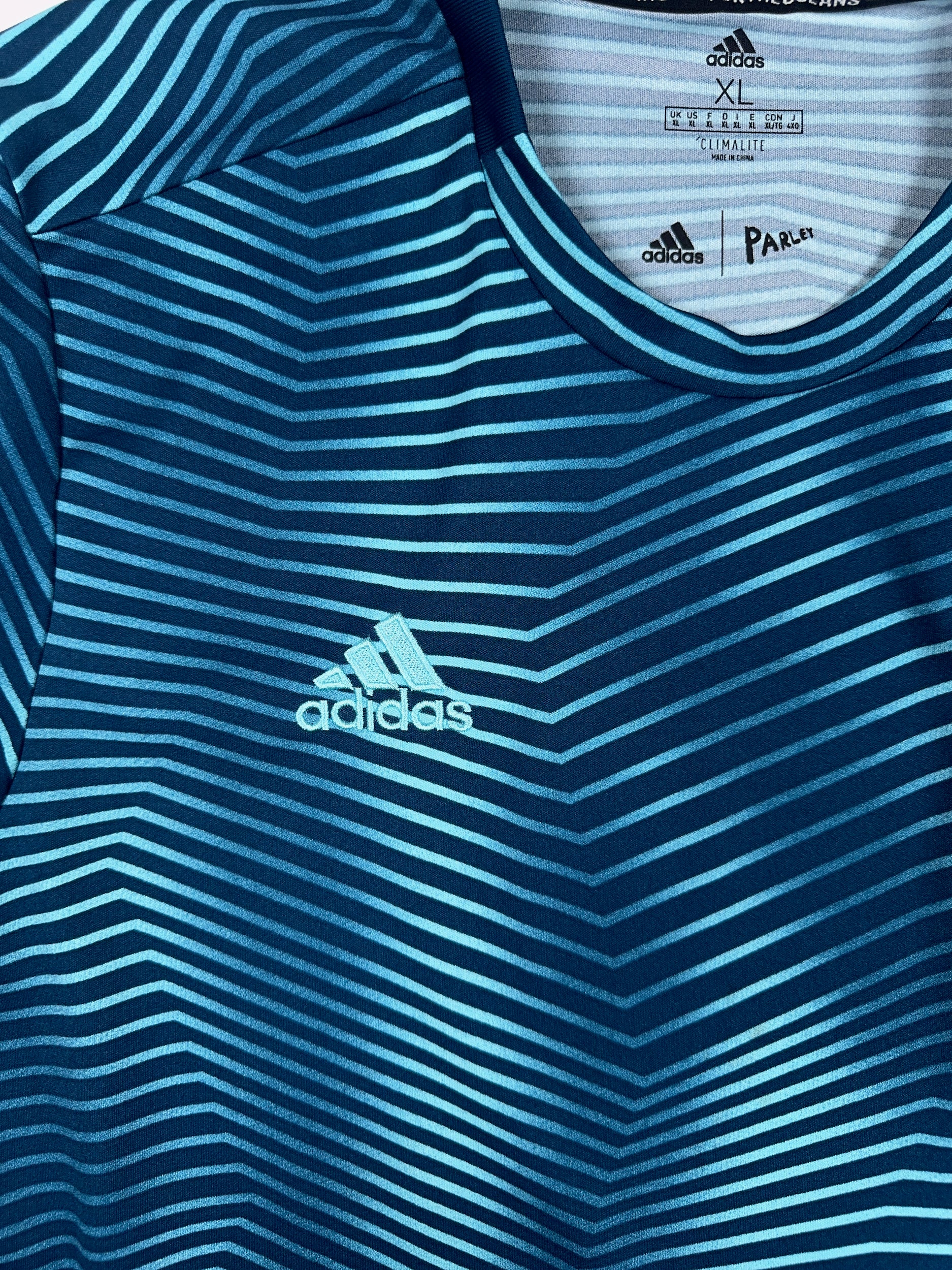 Argentina 2019/20 Prematch Shirt - XL