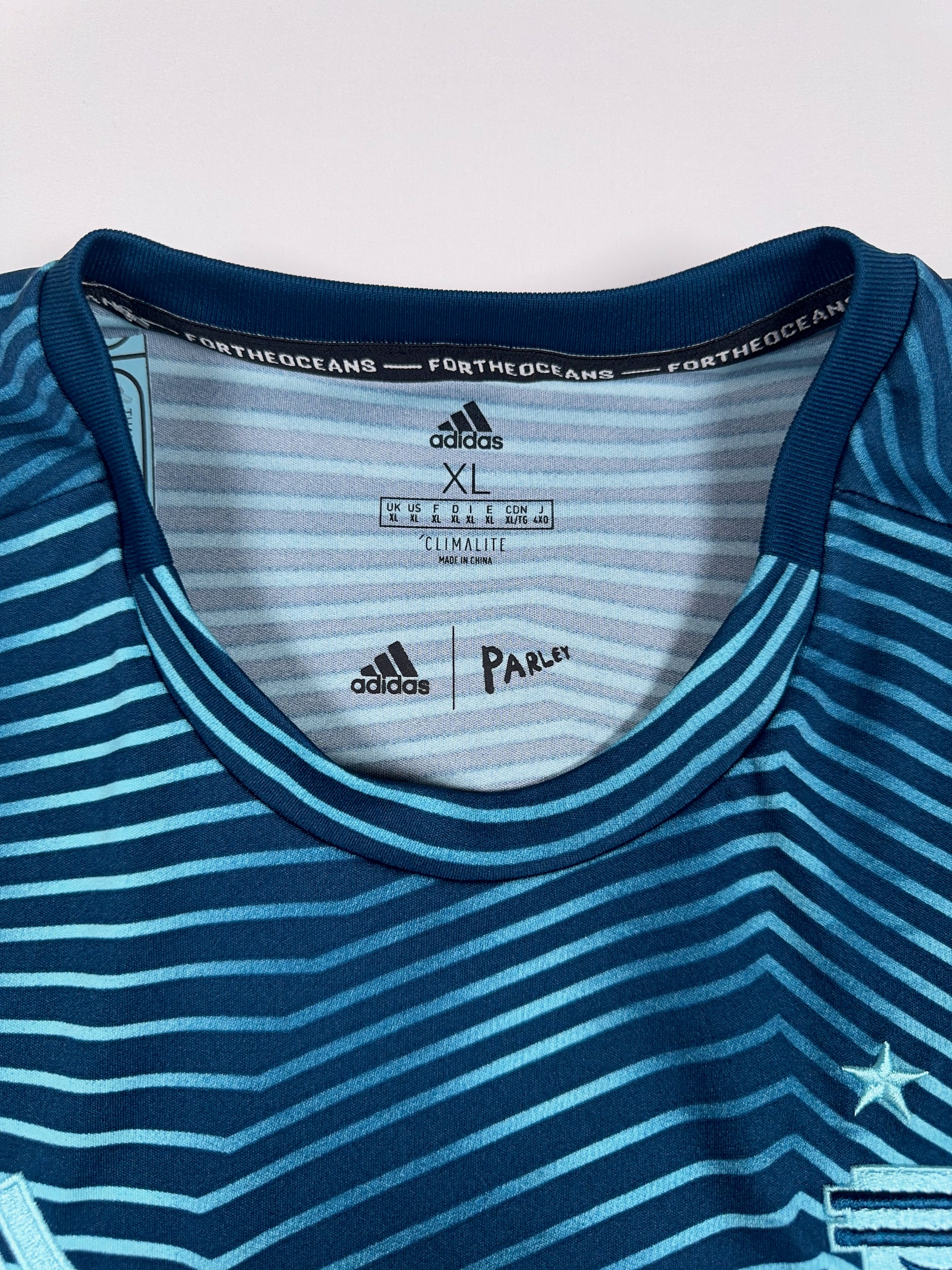 Argentina 2019/20 Prematch Shirt - XL