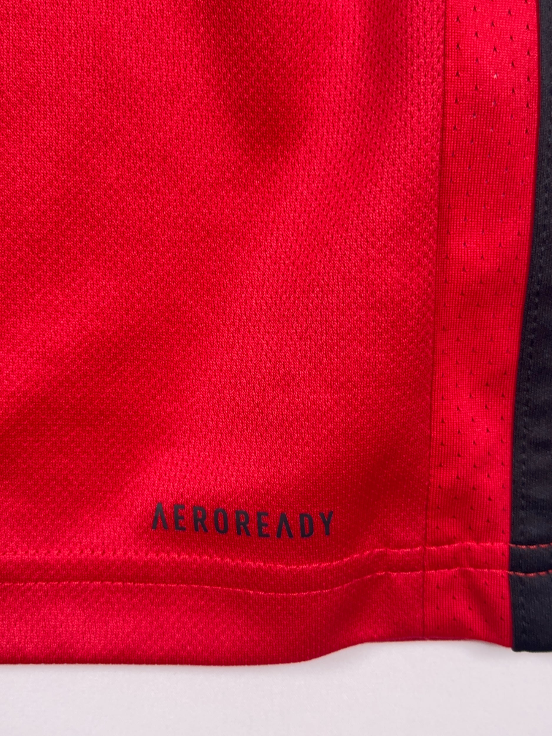 Belgium 2020/21 Home Shirt - L