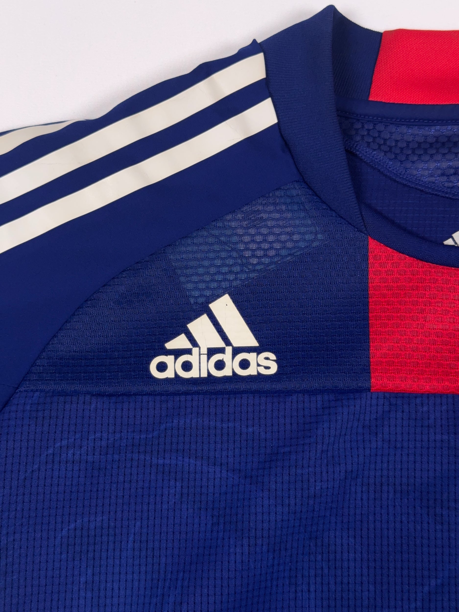 Japan 2010/11 Home Shirt - M