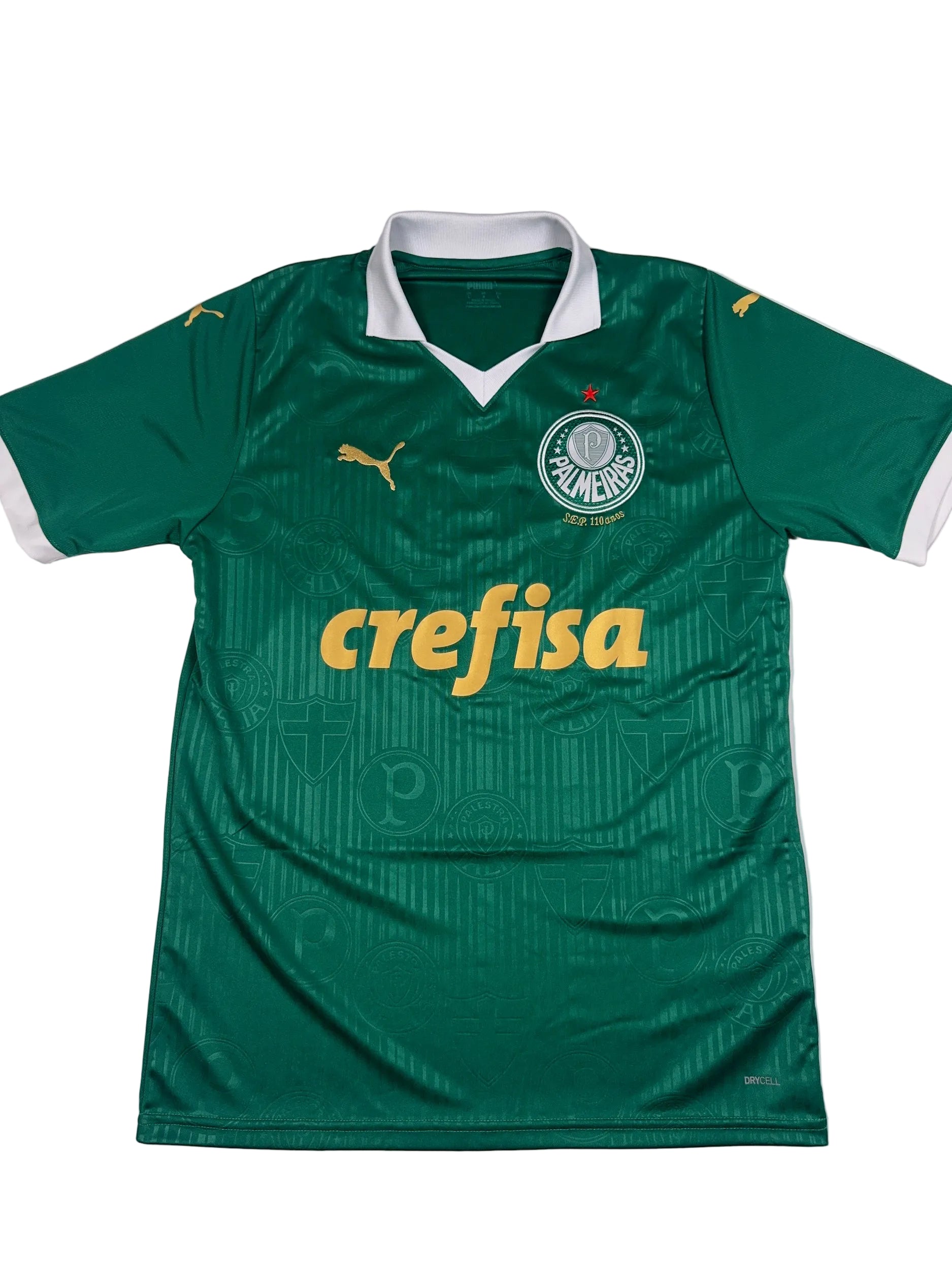 Palmeiras 2024/25 Home Shirt - L