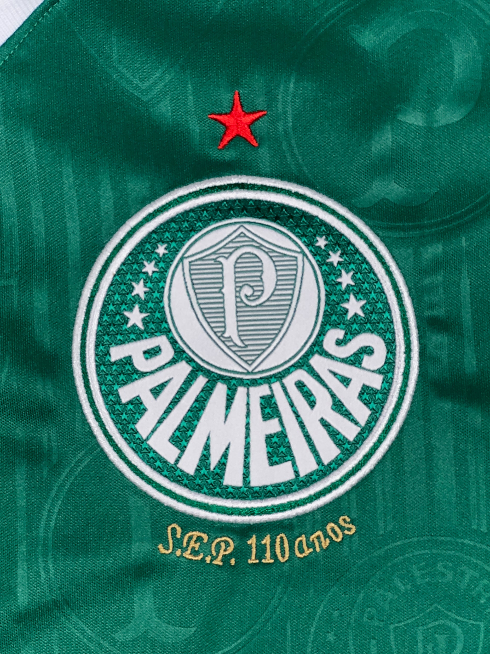 Palmeiras 2024/25 Home Shirt - L