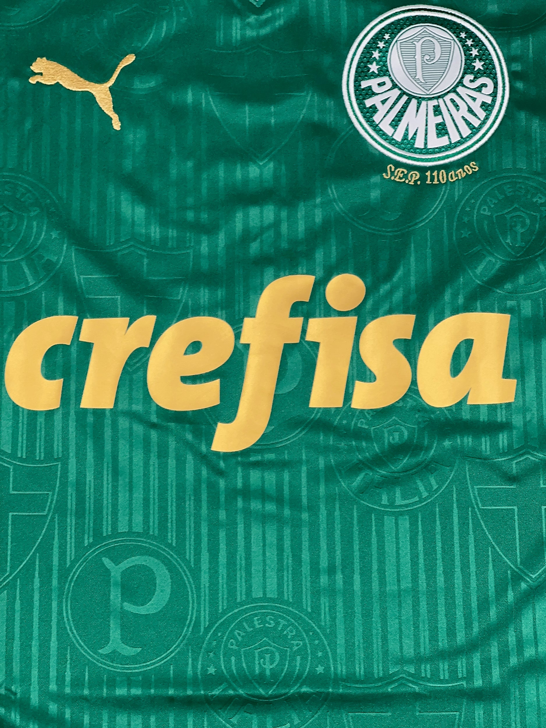 Palmeiras 2024/25 Home Shirt - L