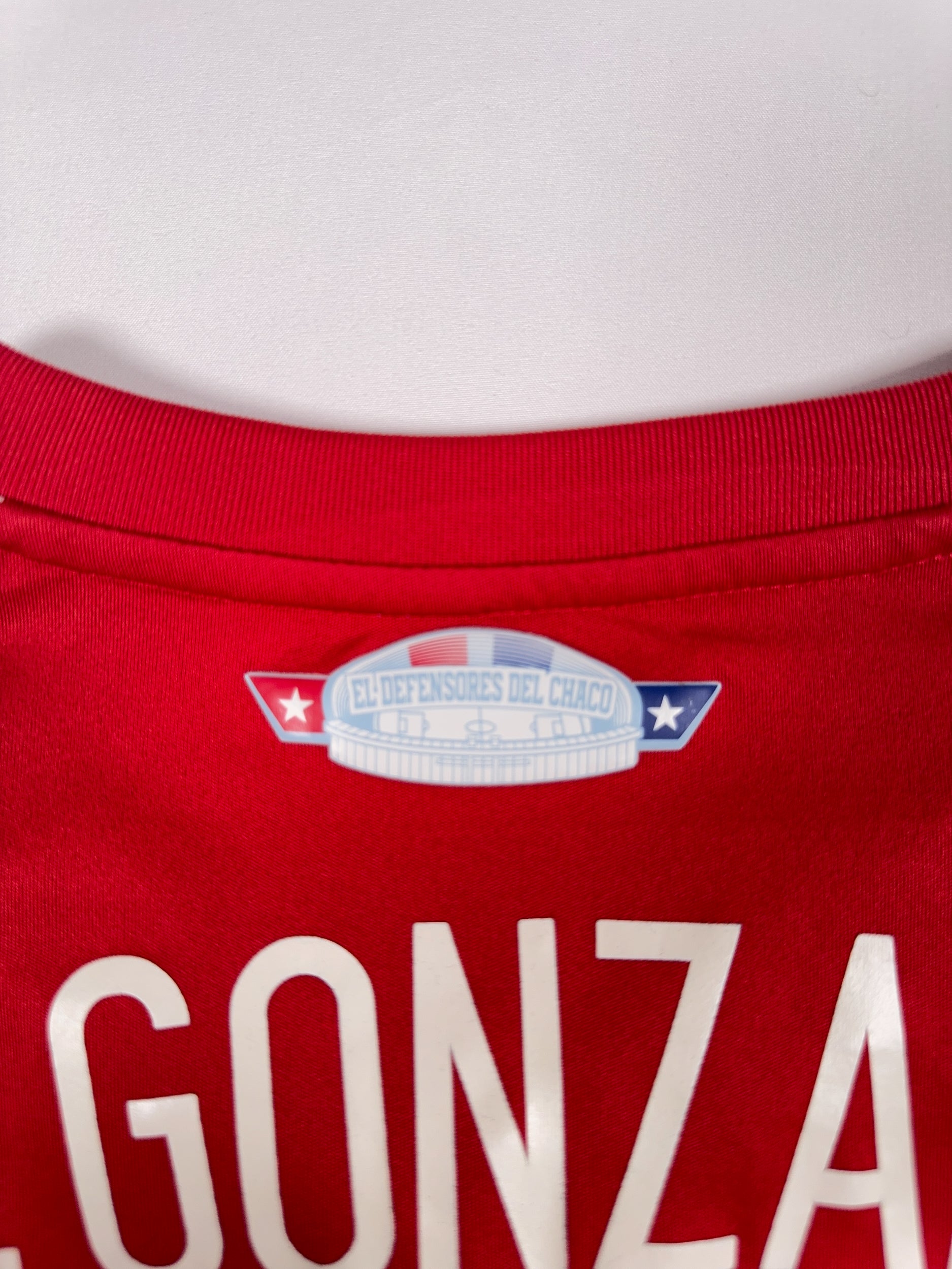 Paraguay 2014/15 Diego Gonzalez #10 Home Shirt - M
