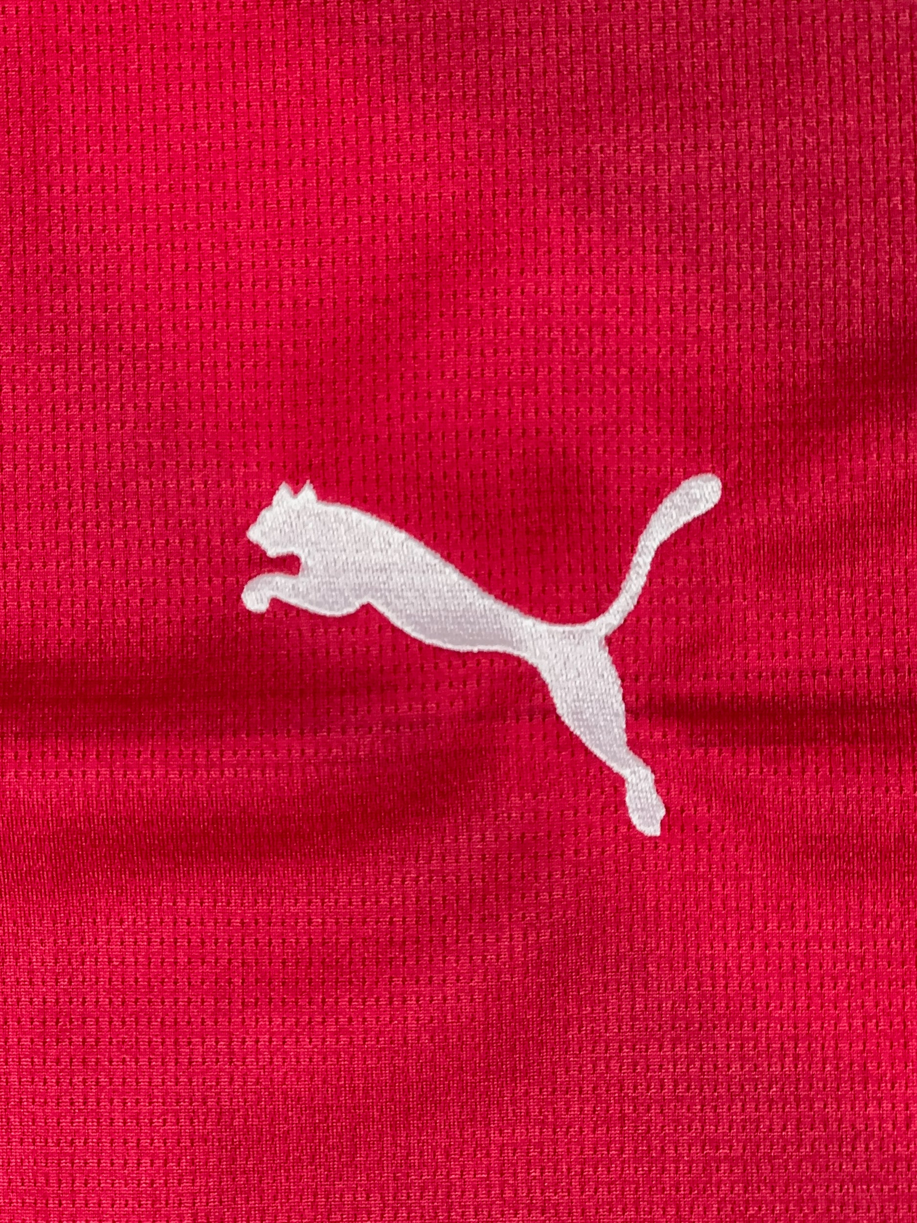 Serbia 2024/25 Home Shirt - L