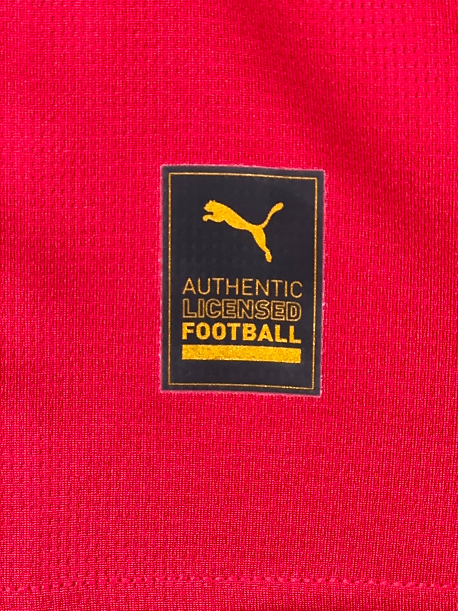 Serbia 2024/25 Home Shirt - L