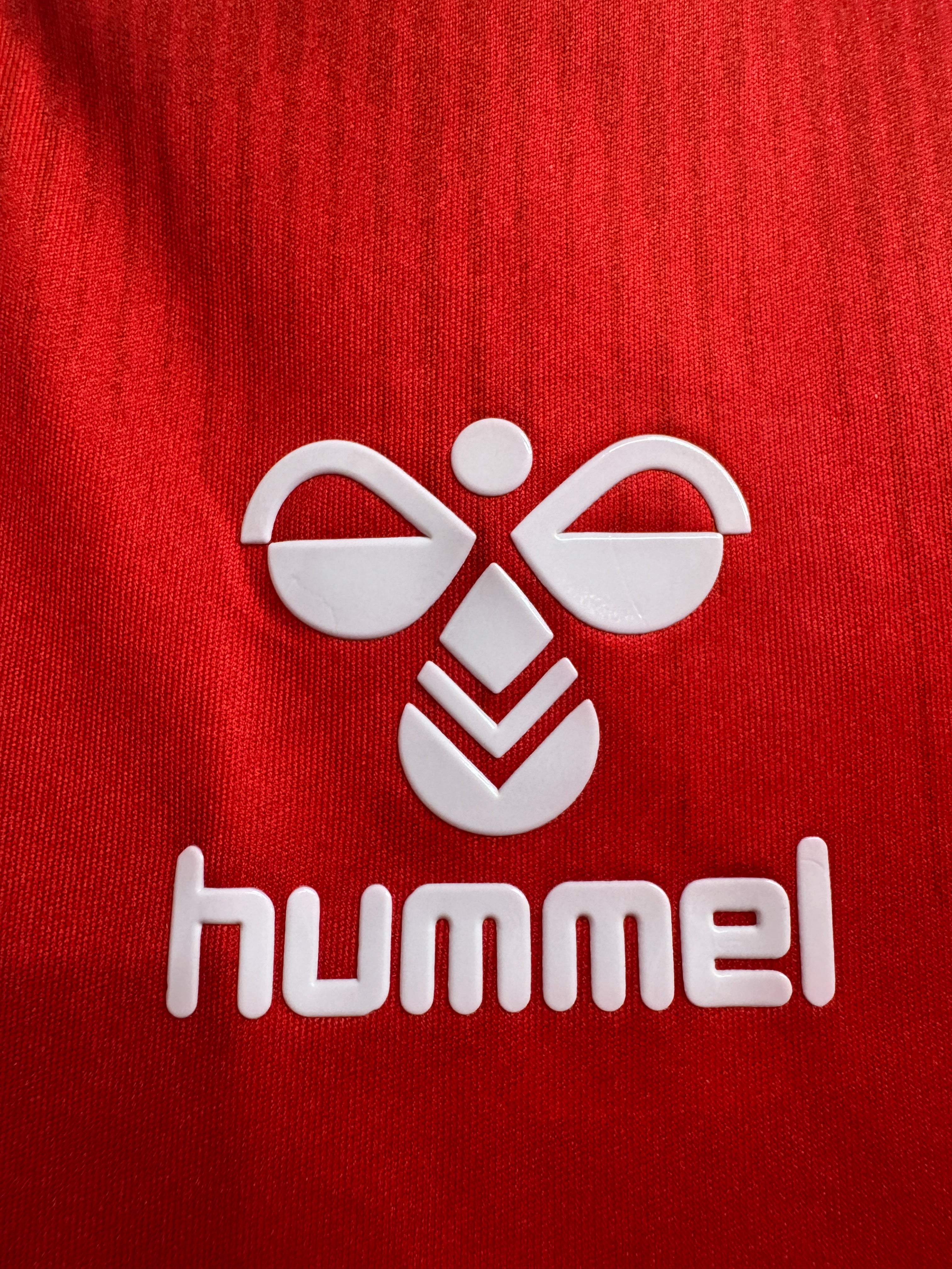 Denmark 2020/21 Home Shirt | Retro Screamers