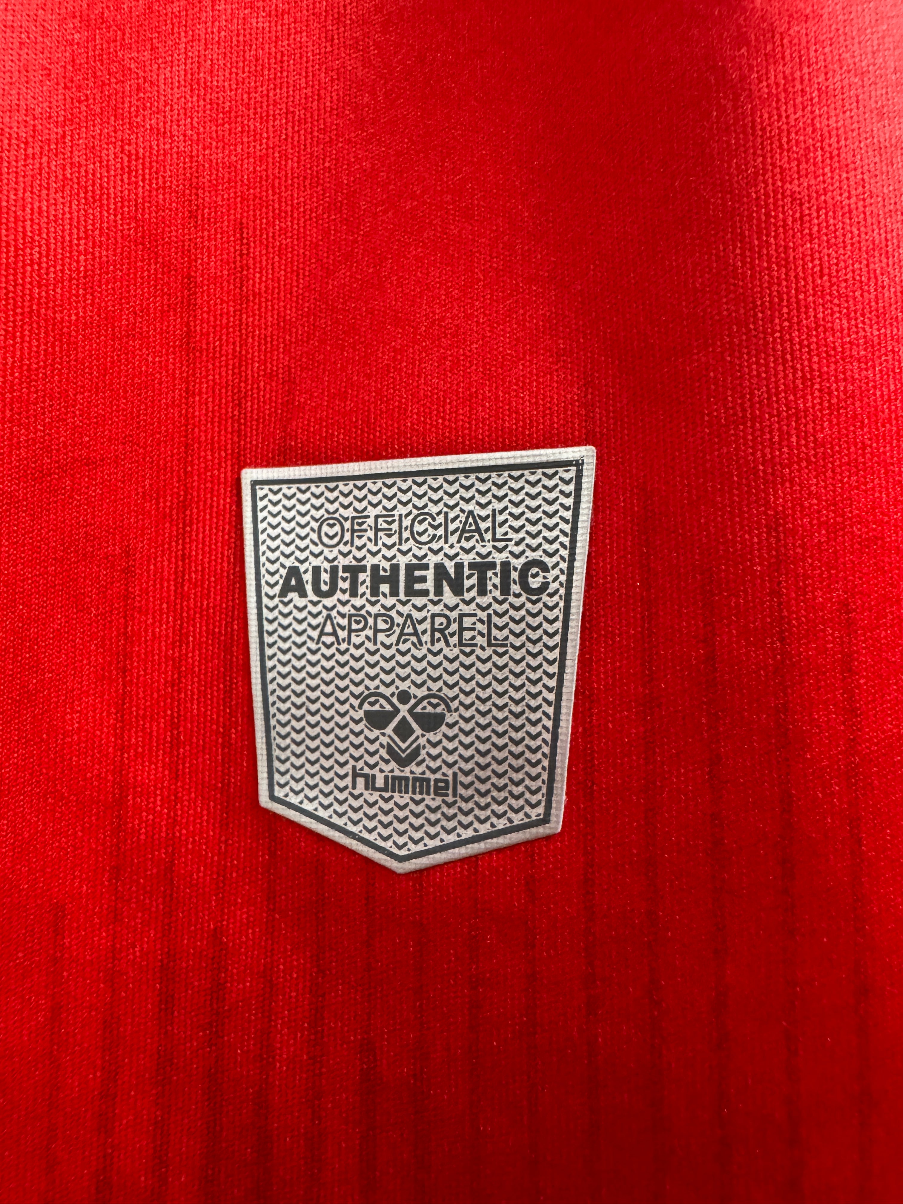 Denmark 2020/21 Home Shirt | Retro Screamers