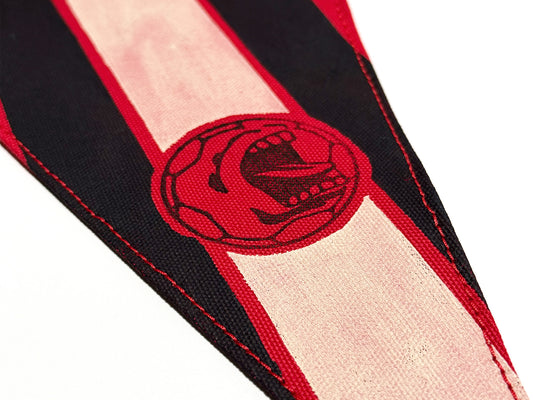 Canada '98 World Cup Pennant X Wild Northland