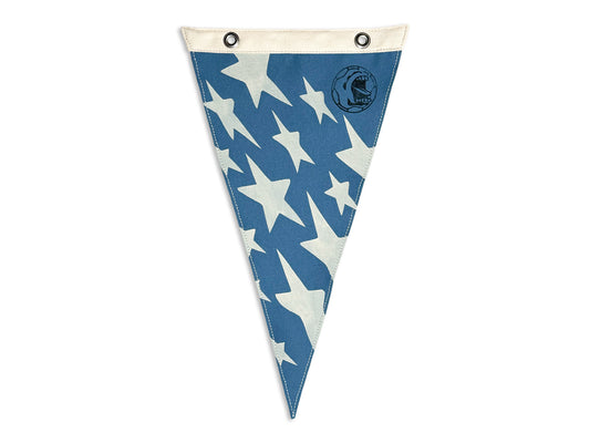 USA '94 World Cup Stars Pennant X Wild Northland