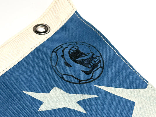 USA '94 World Cup Stars Pennant X Wild Northland