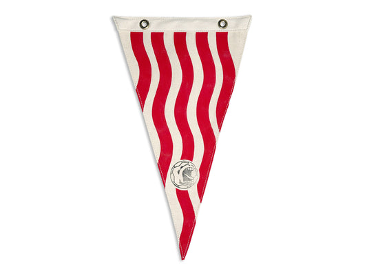 USA '94 World Cup Stripes Pennant X Wild Northland
