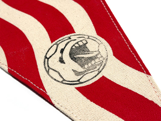 USA '94 World Cup Stripes Pennant X Wild Northland