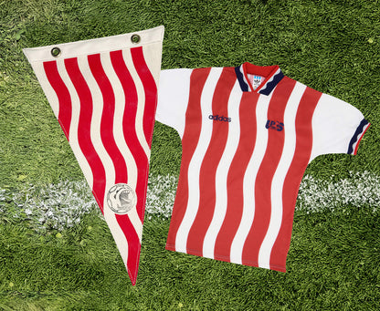 USA '94 World Cup Streifenwimpel X Wild Northland
